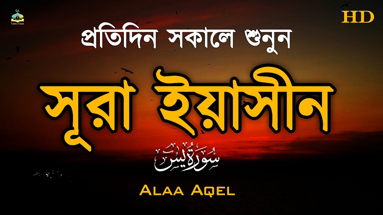প্রতিদিন সকালে শুনুন সূরা ইয়াসিন কলিজা শীতল করা কন্ঠে তেলাওয়াত l Surah Yaseen