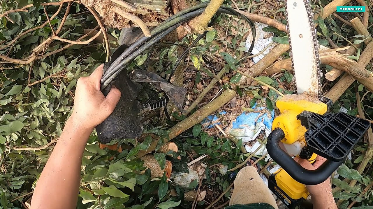 DIY Cantas pokok LONGAN KEELAT Mini Chainsaw Electric ​Cordless | Gergaji Elektrik Part 5| TEknoLaGI