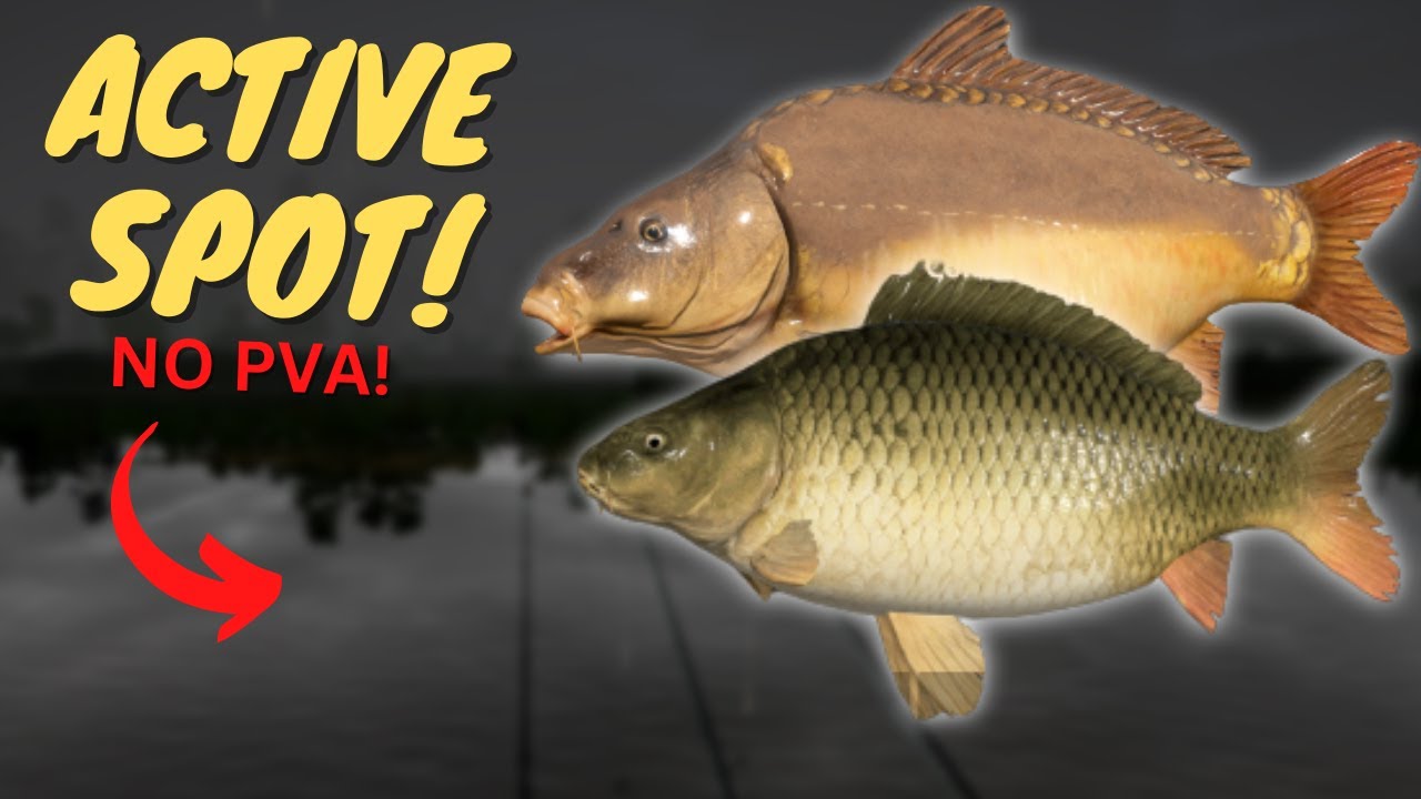 ACTIVE CARP SPOT IN BEAR LAKE! NO PVA!  #664 Russian fishing 4
