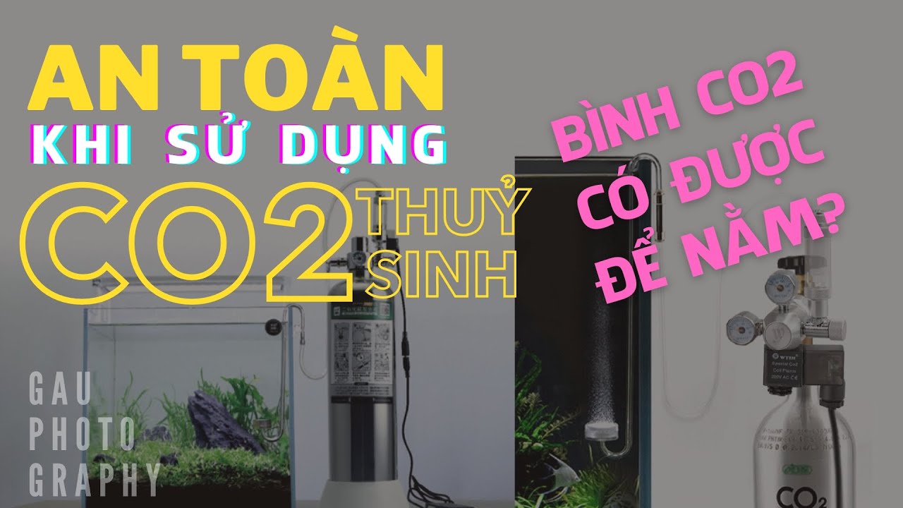 Bình Co2 thuỷ sinh có được để nằm? An toàn sử dụng bình khí áp lực dương