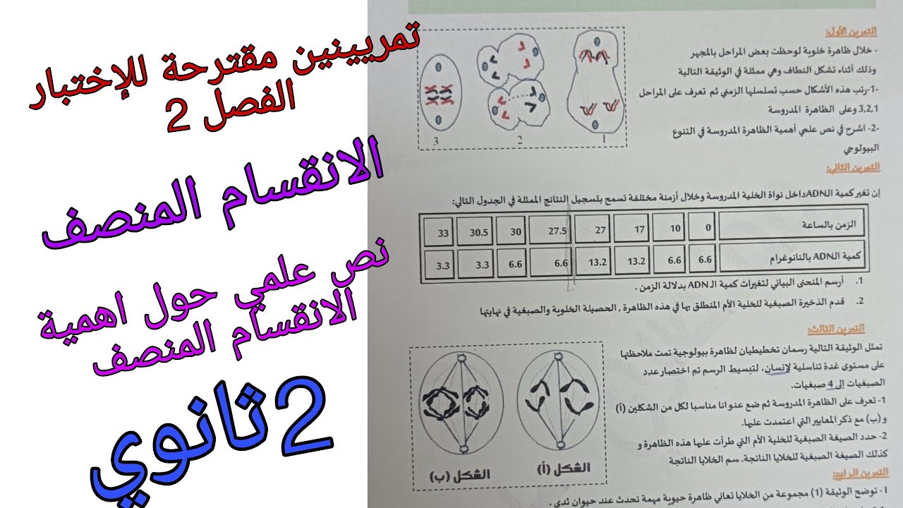تمارين مقترحة للإختبار الفصل 2 في العلوم للسنة الثانية ثانوي حول الانقسام المنصف