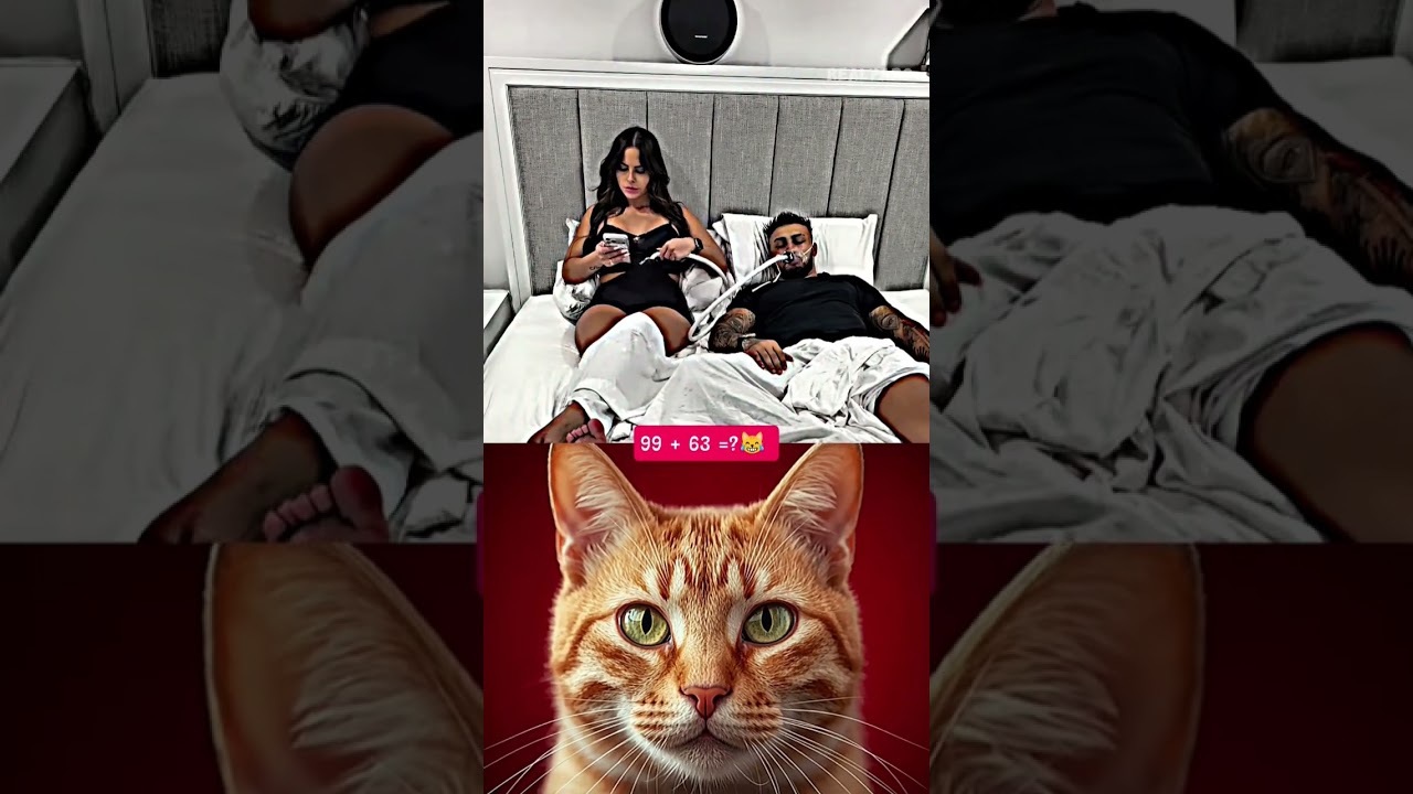 #auracat #filtro 😹😹