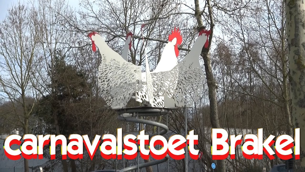 de volledige  avond carnavalstoet  van Brakel op 7 februari 2026