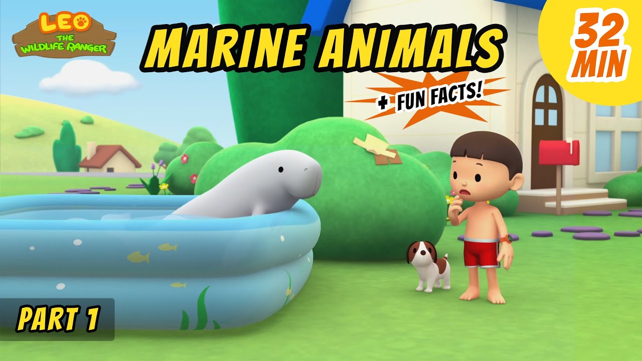 Marine Animals (Part 1/2) - Dugong and more sea animal stories!