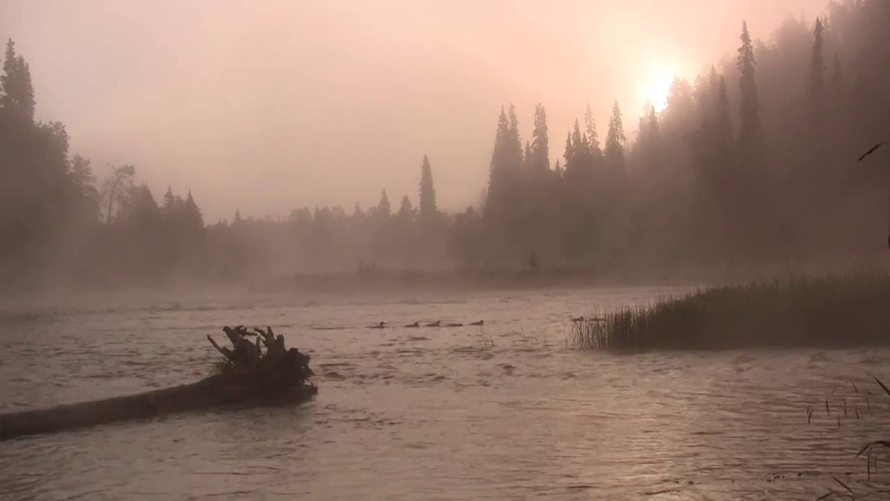 Kitkajoki teaser