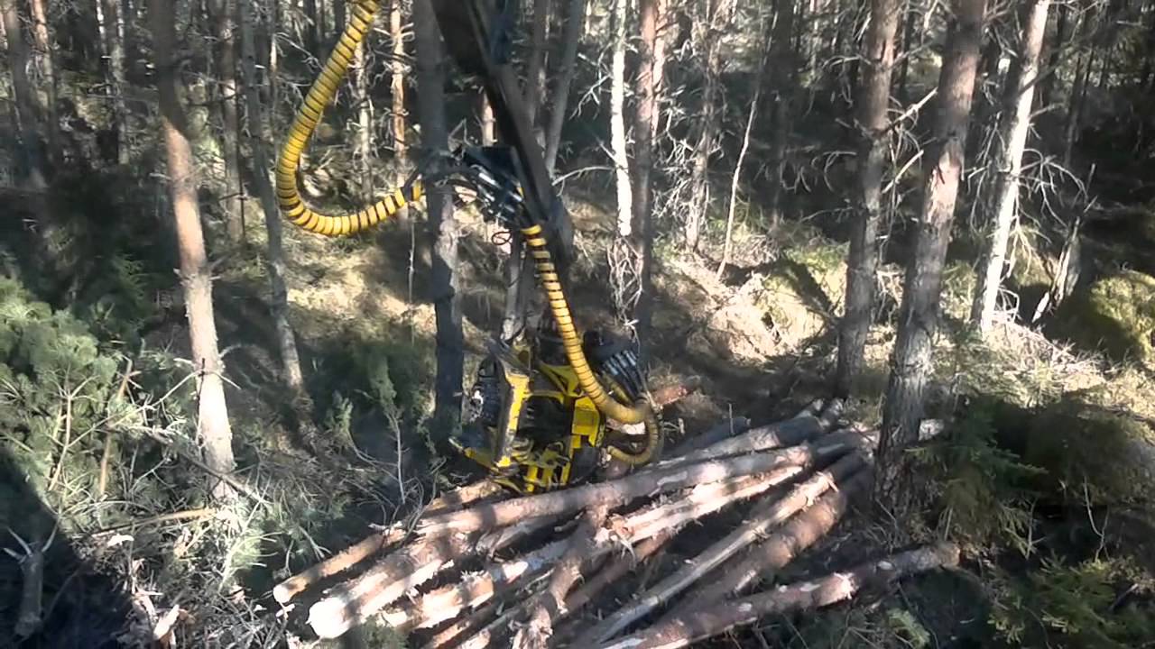 Metsäenergian korjuu korjurilla