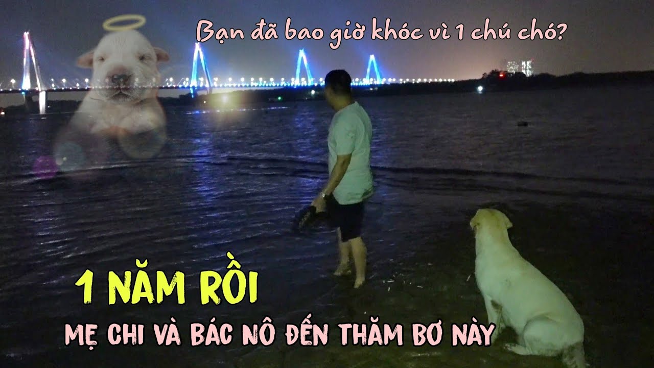 Bơ ơi, mẹ Chi đến thăm con này