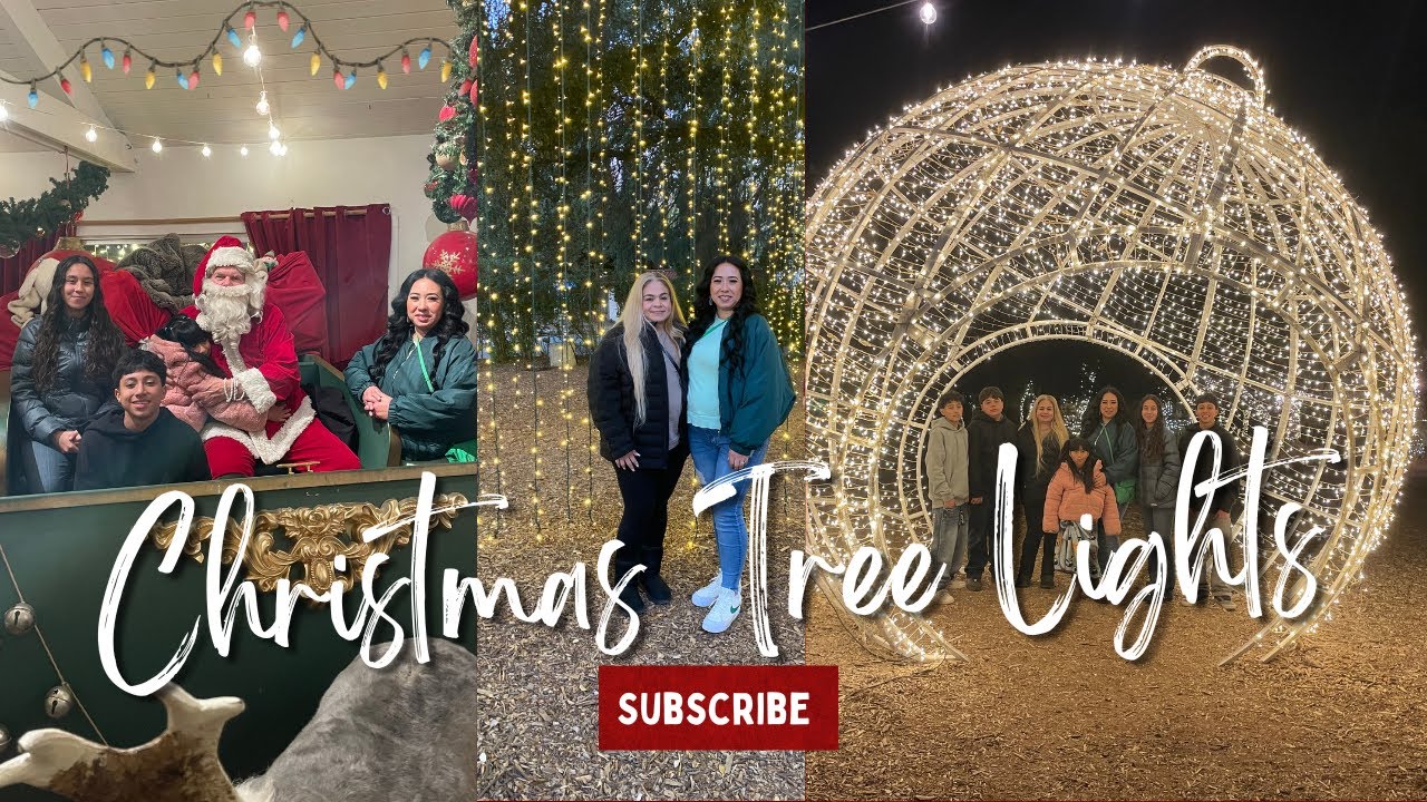 Christmas Tree Lights | Guess who Is Going In The Naughty List?