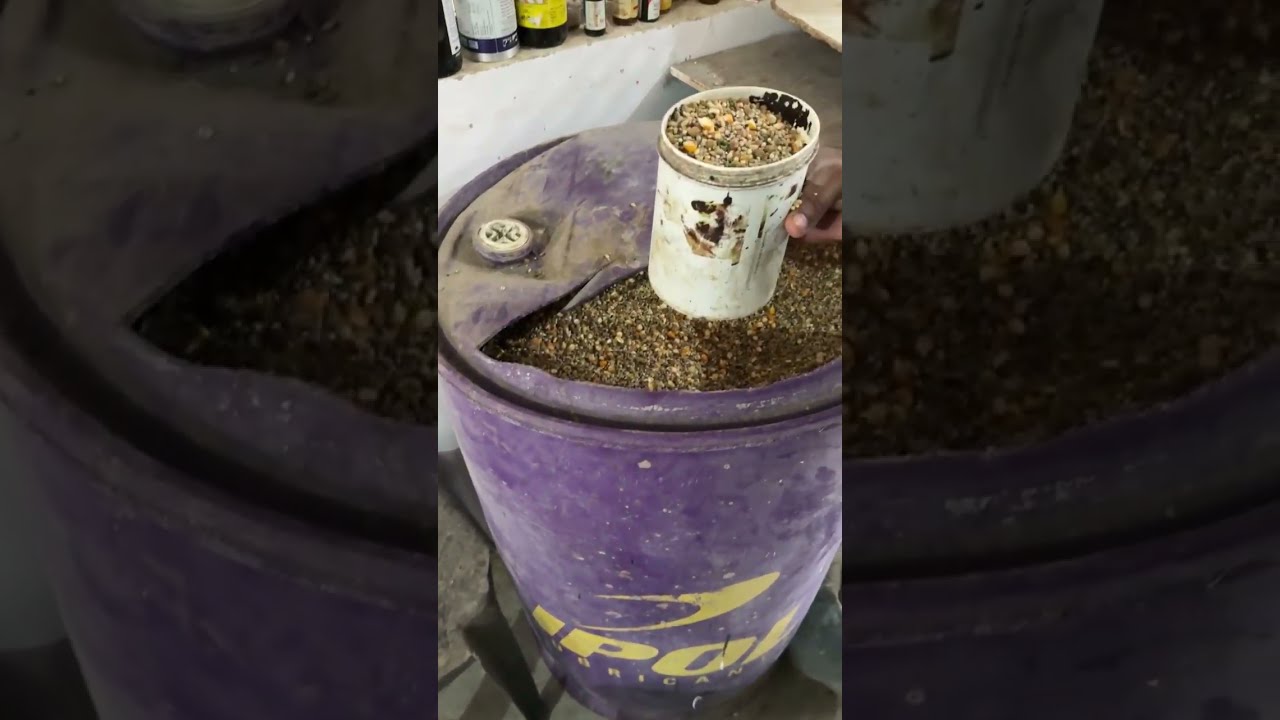 “SARDI MEIN KABOOTAR KE LIYE GARAM OIL FULL NUTRITION 100%RESULT”✅🤍🕊️