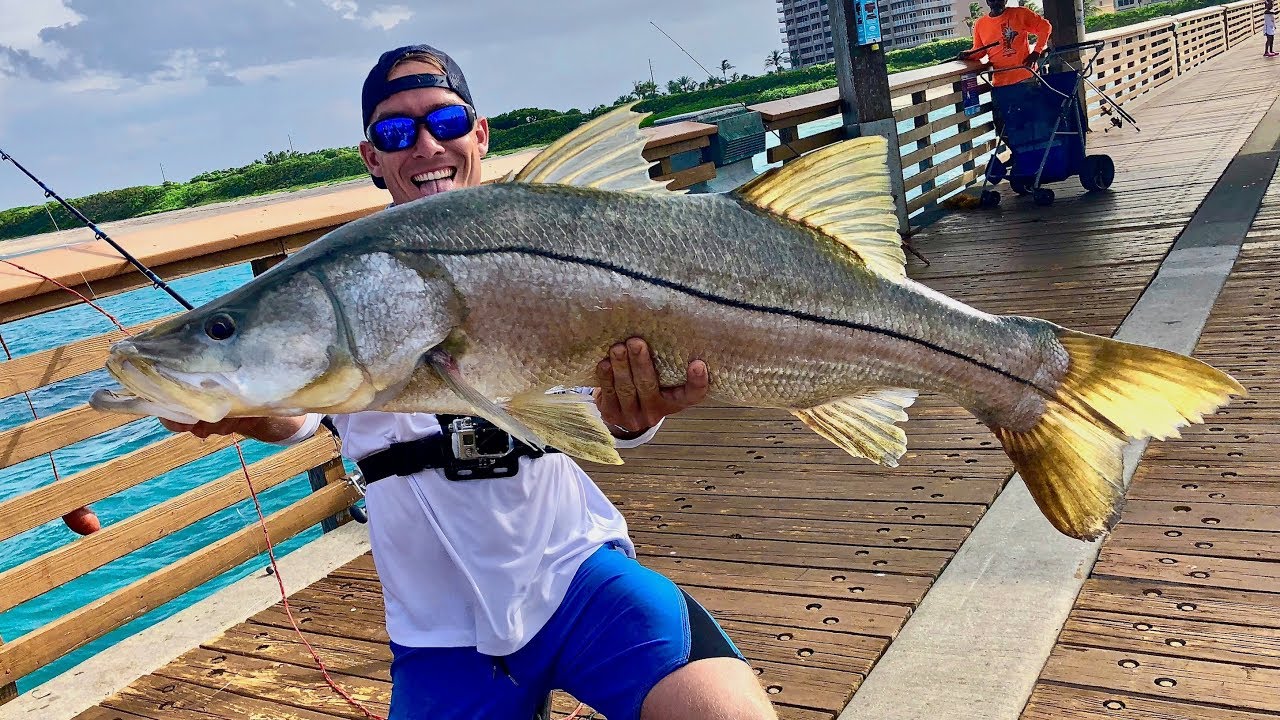 Florida Pier Produces *HUGE* Fish!!! (Juno Pier Snook Fishing)
