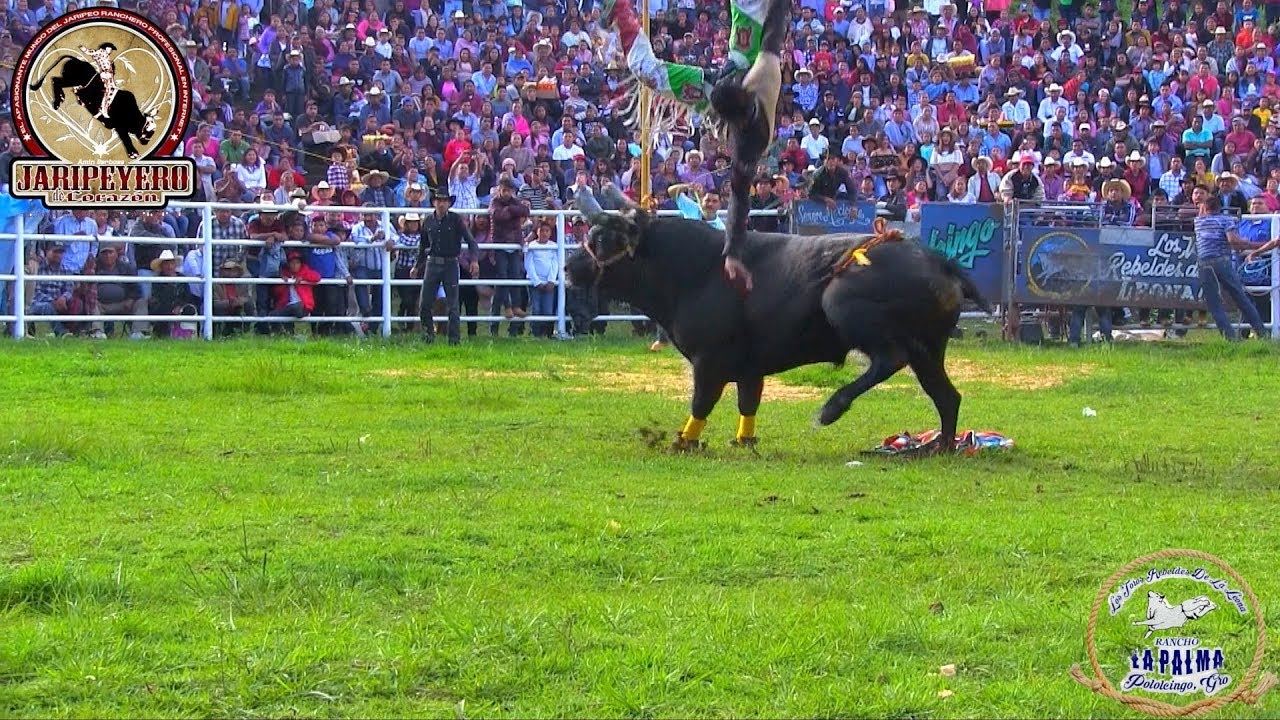 ¡¡QUE VELOCIDAD ALCANZA ESTE TORAZO!! Rancho La Palma En Pichataro Michoacan 2019