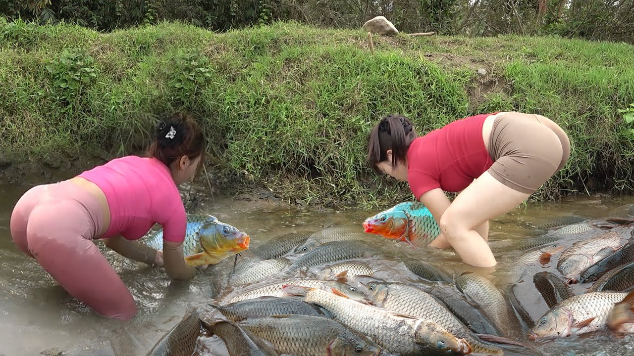Full Videos: Hunting Wild Fish, Traditional Fishing with Net, Fishing Technique Catch a Lots of Fish