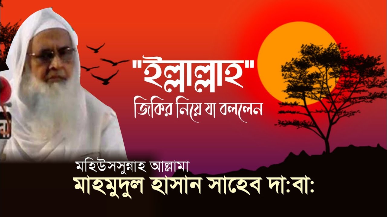 আল্লামা মাহমুদুল হাসান যাত্রাবাড়ী | Allama Mahmudul Hasan jatrabari | ইল্লাল্লাহ জিকির সম্পর্কে