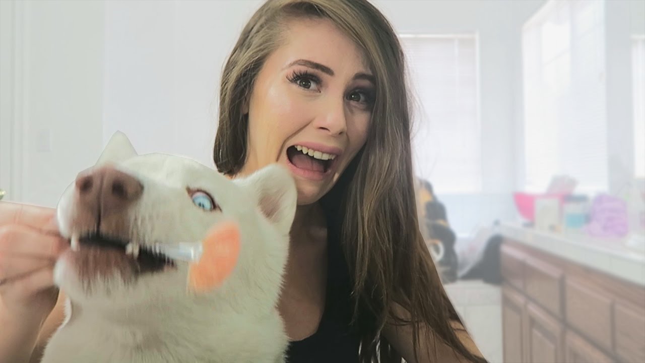 MY DOG HATES WHEN I DO MY MAKEUP!