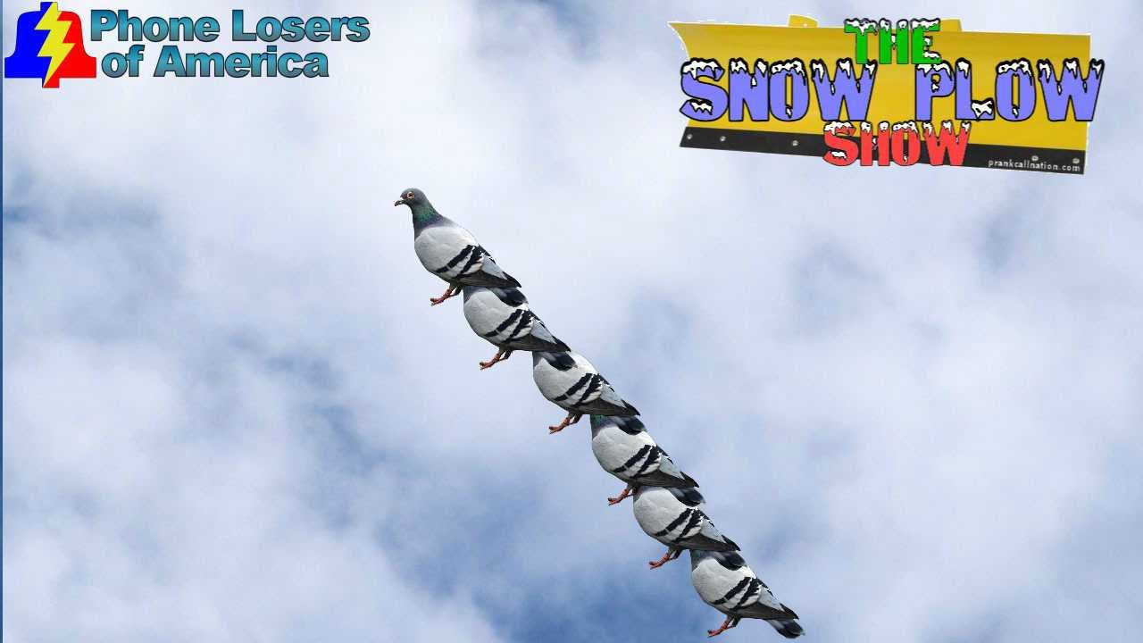 The Snow Plow Show - August 5th, 2016 - The Human Pigeonpede