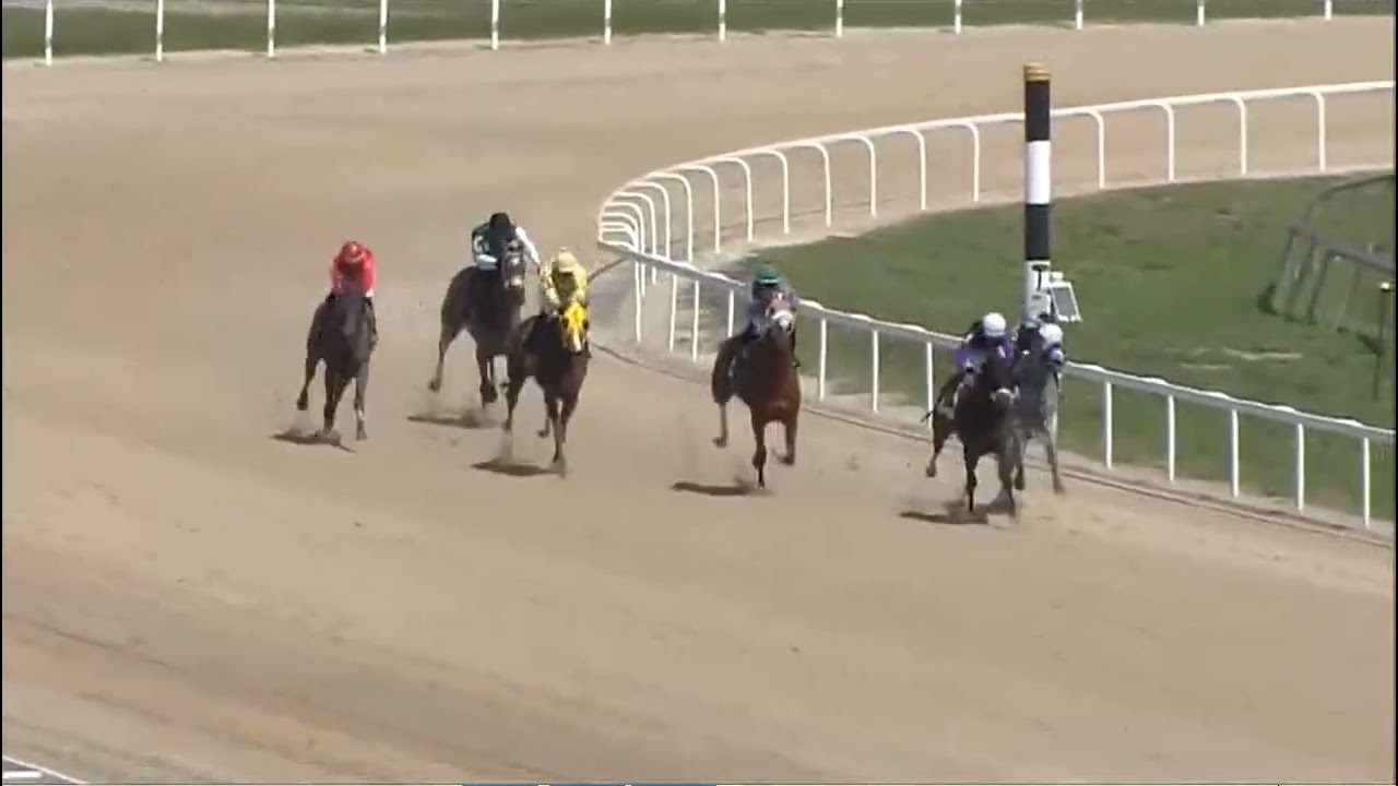 R1 Tampa Bay Downs 15 марта 2026 г.