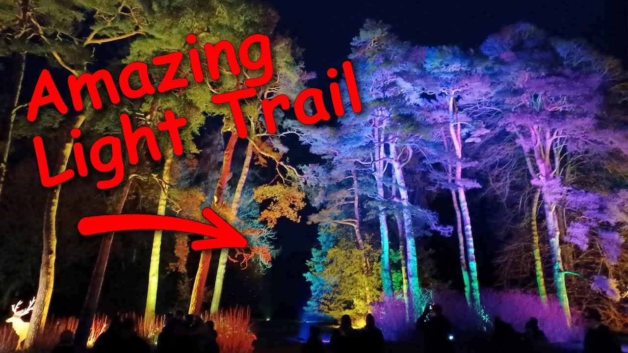 Enchanted Christmas Lights Trial at Westonbirt Arboretum 2021