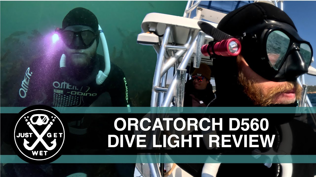 Lobster Diving Headlamp Review - OrcaTorch D560