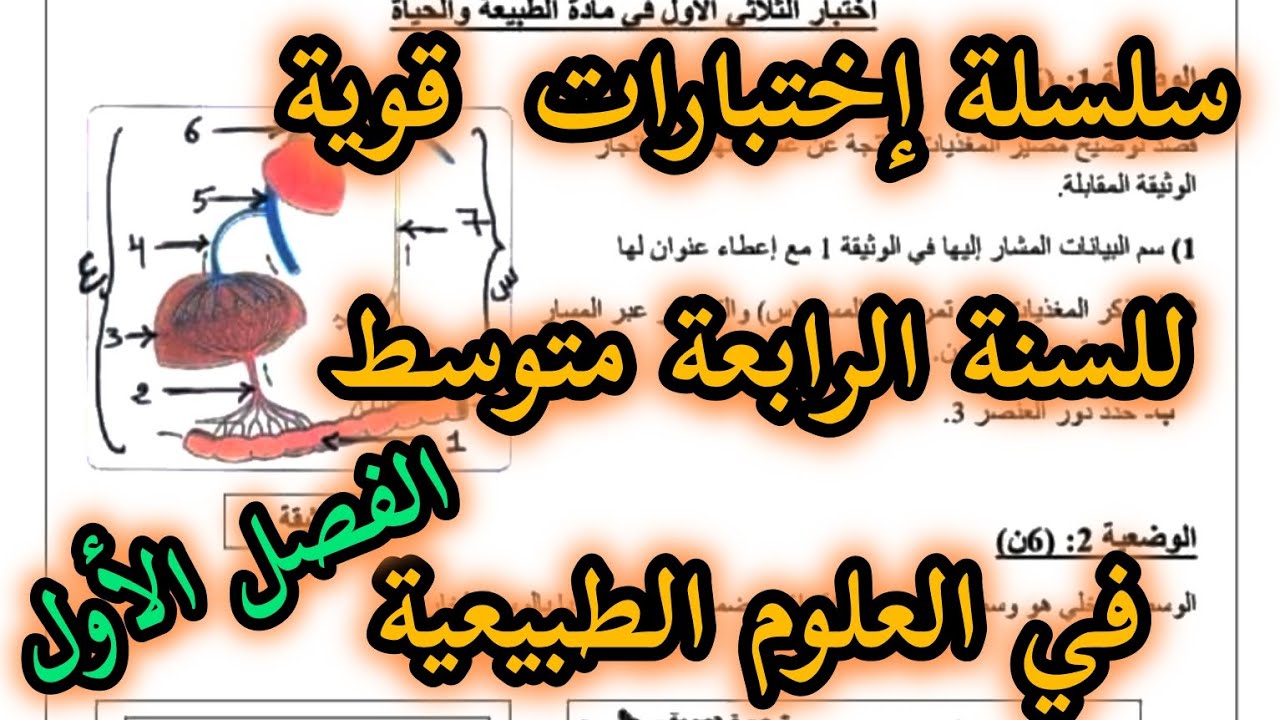 الإختبار الأول في العلوم الطبيعية للسنة الرابعة متوسط شامل لكل دروس الفصل الاول رقم 9