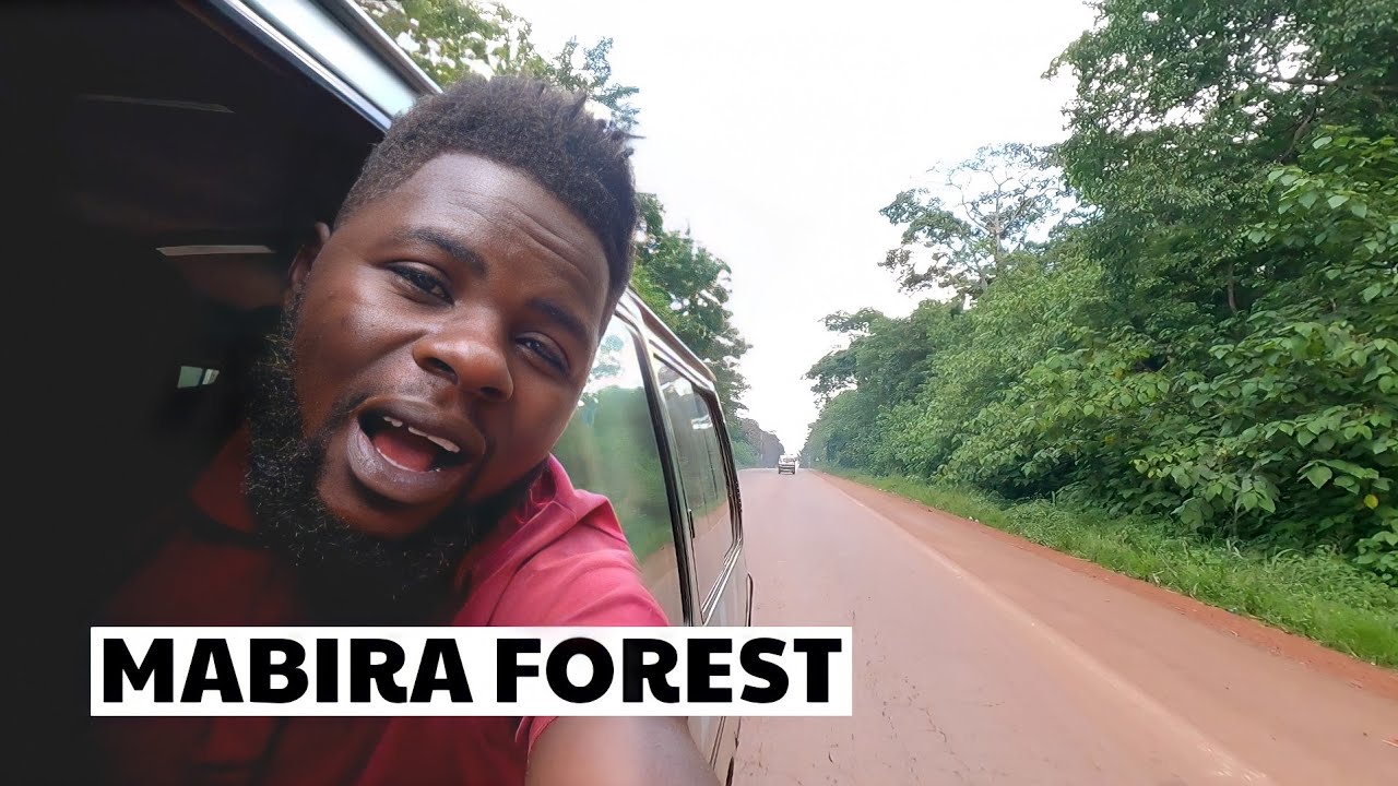 Inside Uganda's Biggest Natural Forest - Mabira Forest Kampala Jinja Highway