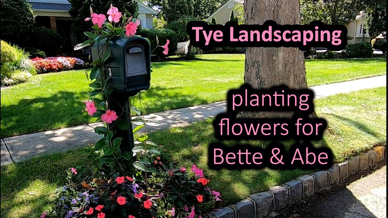 More Amazing Seasonal Color with Summer Flowering Annuals - Planting for Bette & Abe