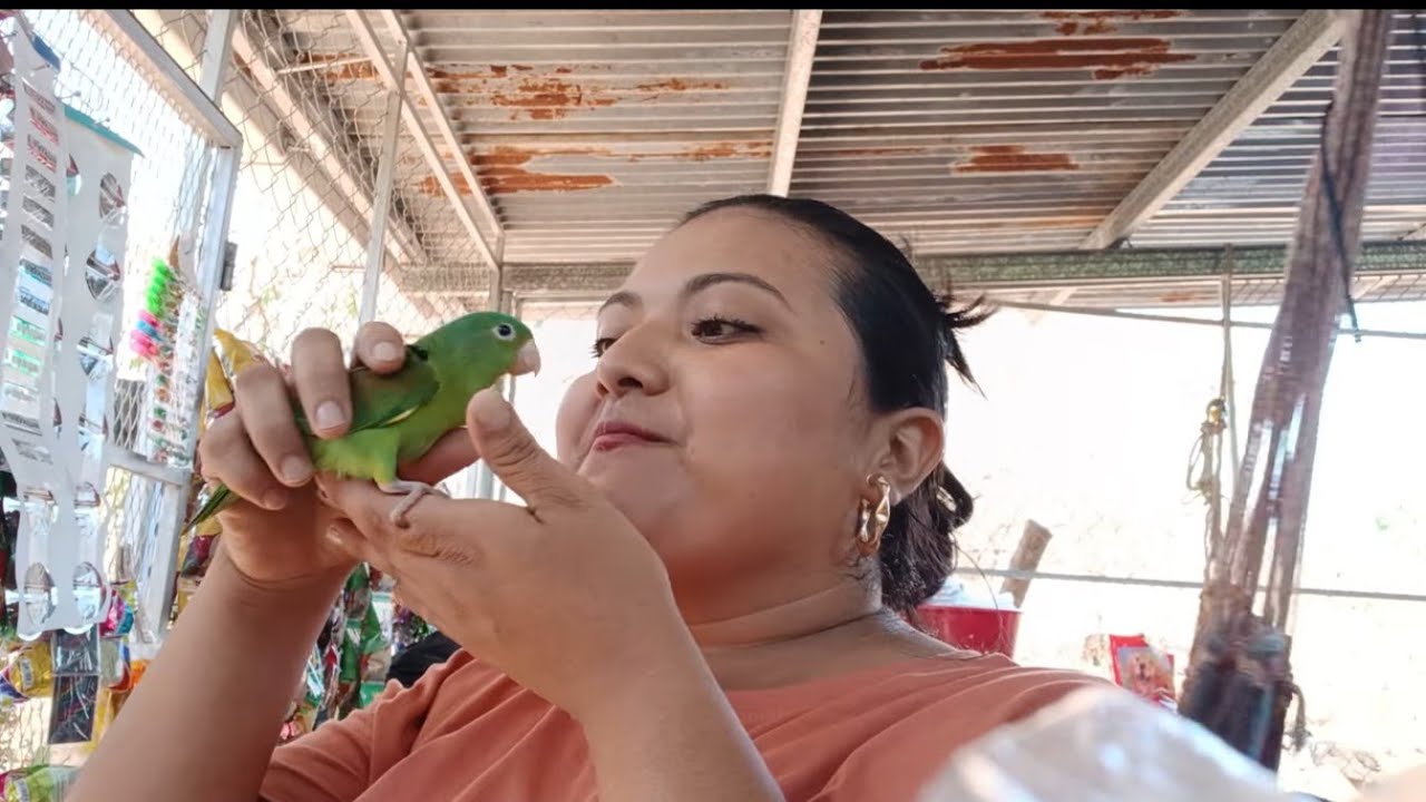 CINDY LES MUESTRA EL REGALO QUE LE MANDARON 