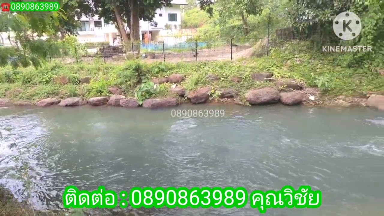 K559ขายที่ดินติดลำธารเนื้อที่1ไร่1งาน ขายเหมา2,600,000บาท แปลงนี้น้ำสวยมาก☎️0890863989วิชัย