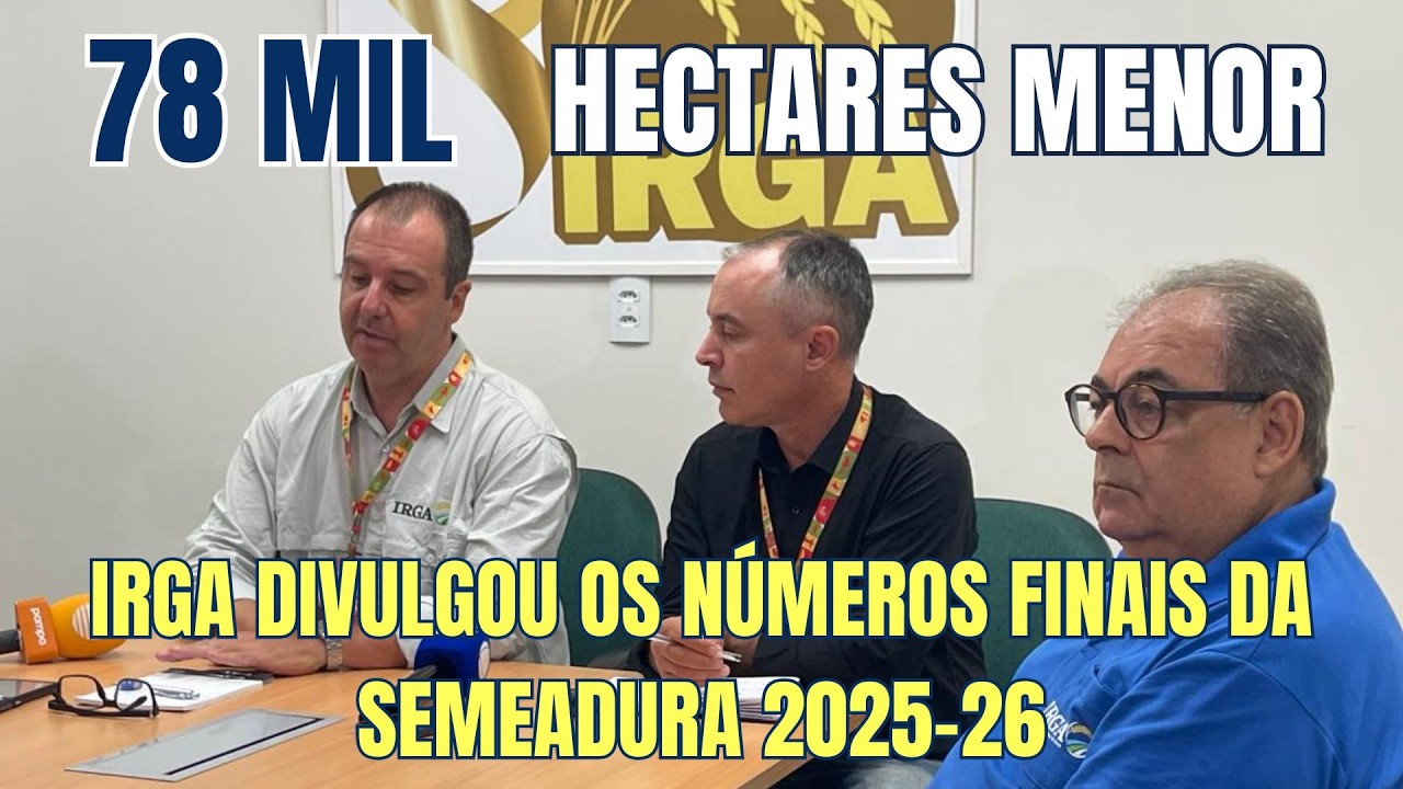 Área de arroz tem redução de 78 mi hectares no RS