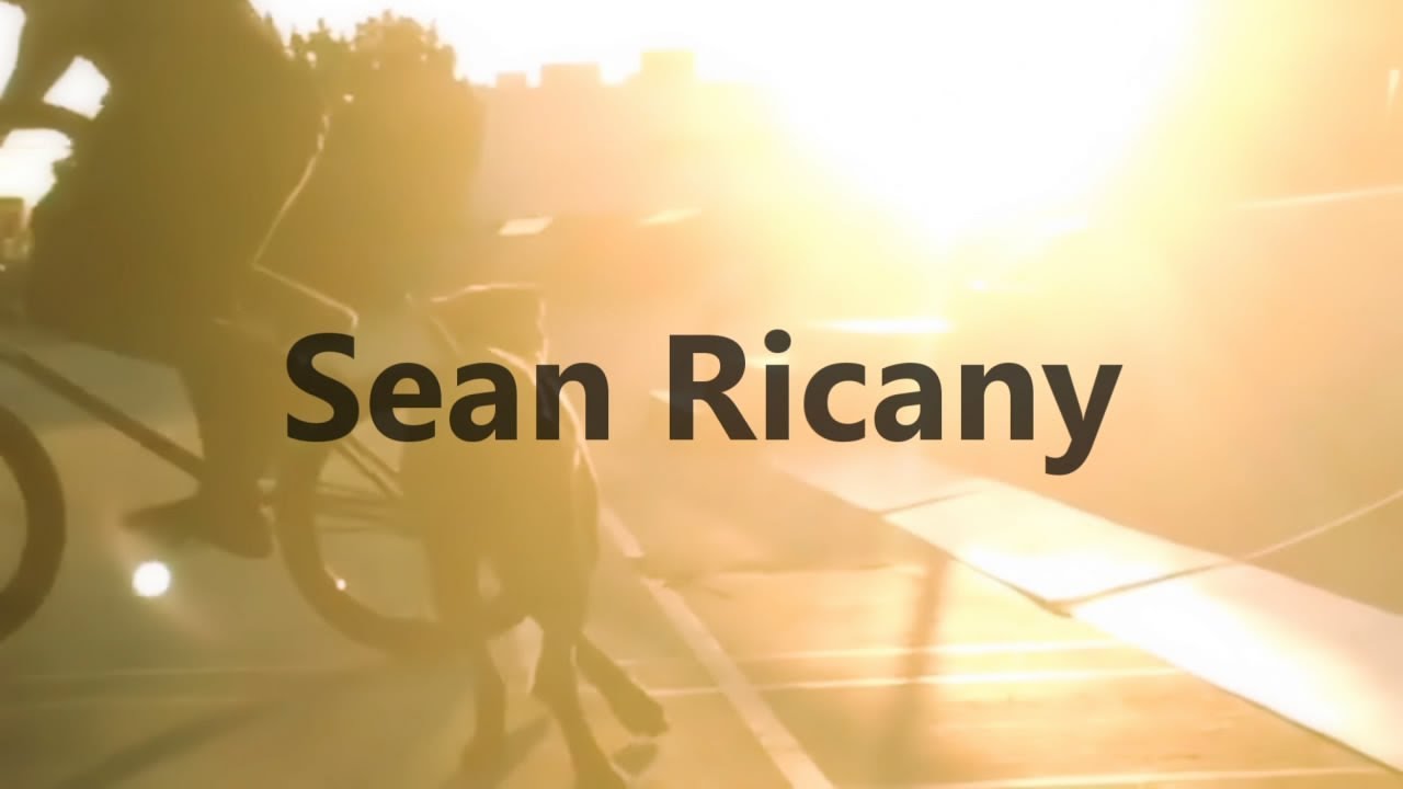 Sean Ricany 2016 