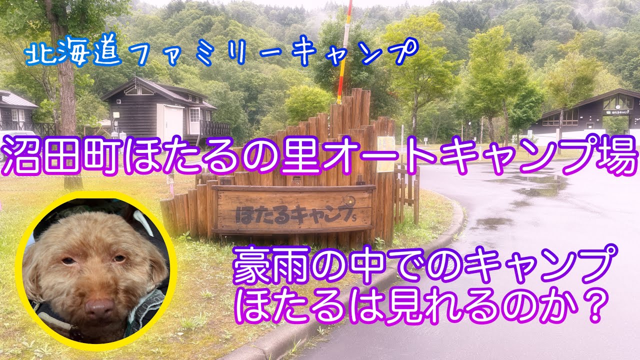 沼田町ほたるの里キャンプ場大雨の中のキャンプ　蛍は見れたのか！！