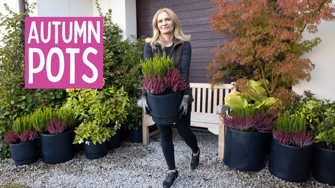 Gardening in Pots &ndash; Fall Edition: Japanese Maples, Heathers & More |