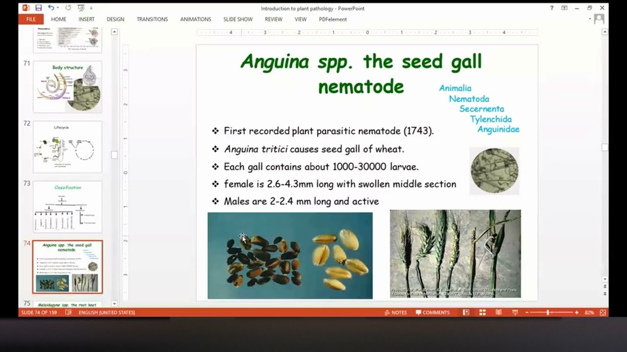 Plant Pathogenic Nematodes (PPN) | Classification | Economically important Genera of PPN