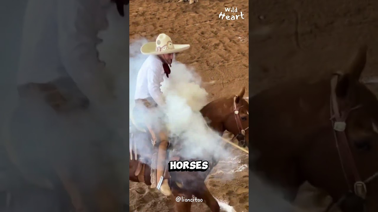 Catching a Horse is More Intense than You Think