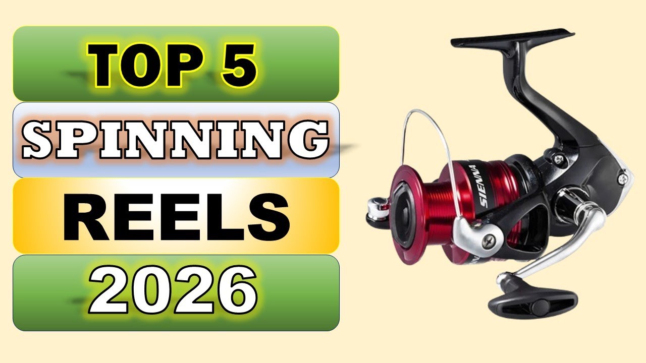 Top 5 Best Spinning Reels in 2026 || From Aliexpress
