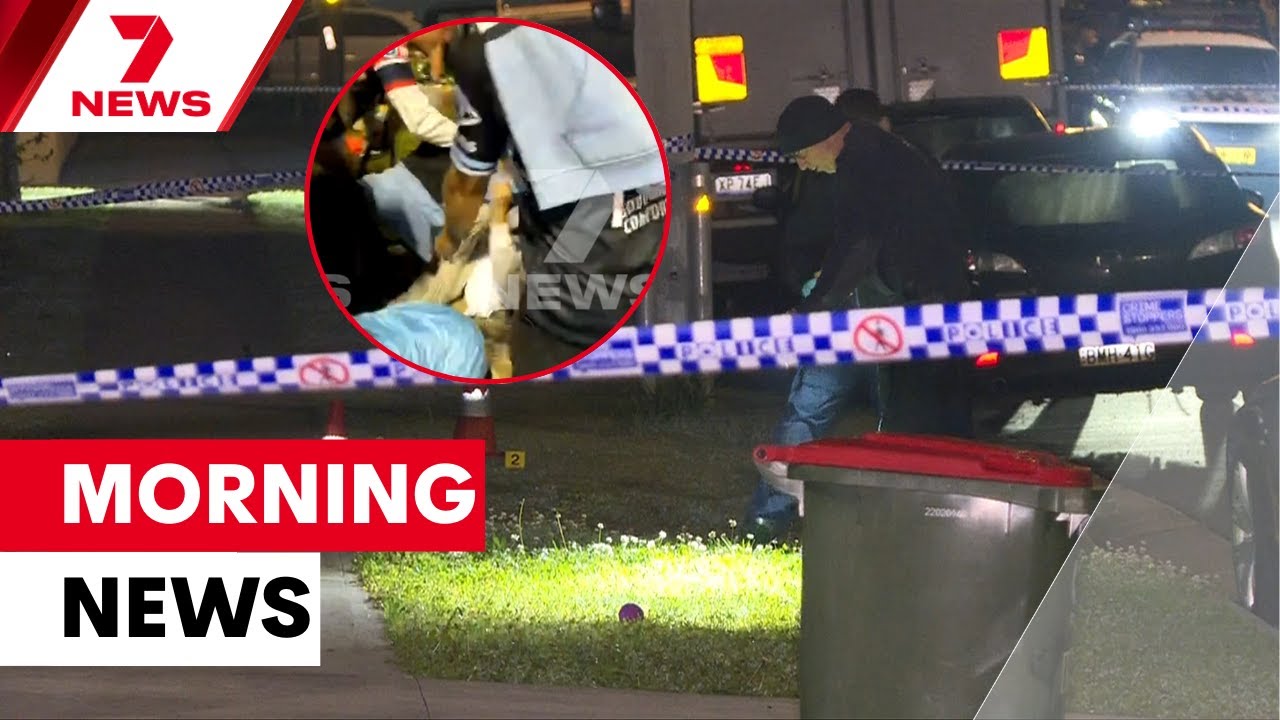 Merrylands shooting, more protests and Shark Park brawl | 7NEWS