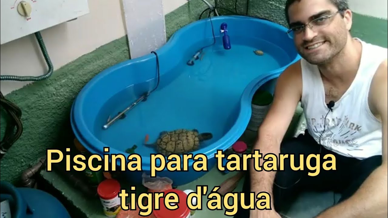 Piscina para tartaruga tigre d'água. Projeto ainda falta a rampa com iluminação para ela subir.