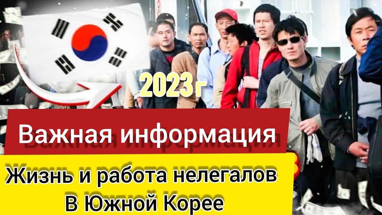 Жизнь нелегалов в Южной Корее | Работа в Корее 2023 год