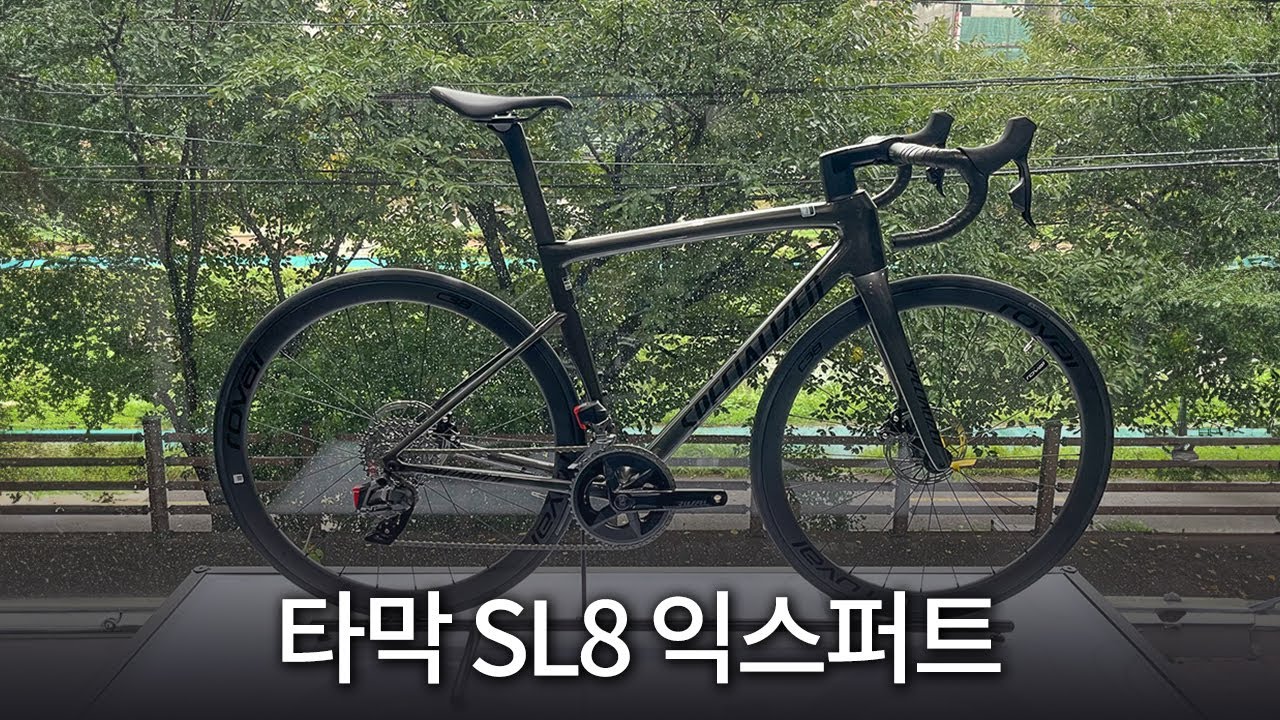 2024년 타막 SL8 익스퍼트, Specialized Tarmac SL8 Expert
