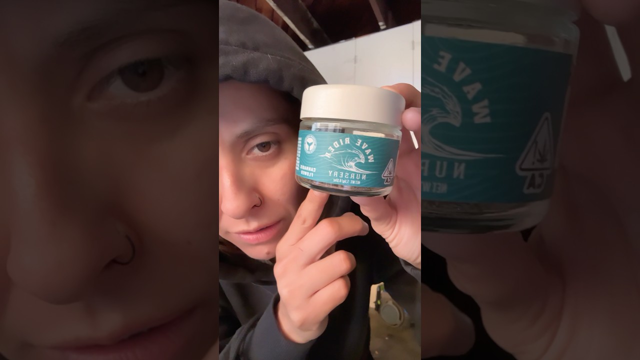 Wave Rider-3.5gFlower - Modified Mintz Review #420blazeit #review #entertainment #waverider #hybrid￼