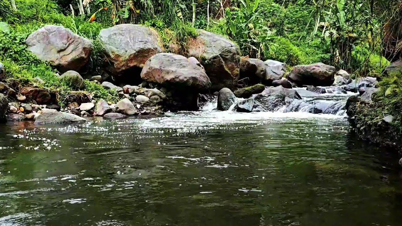 Soothing River Water Sounds for Sleep,Calm River Sounds for Relaxation