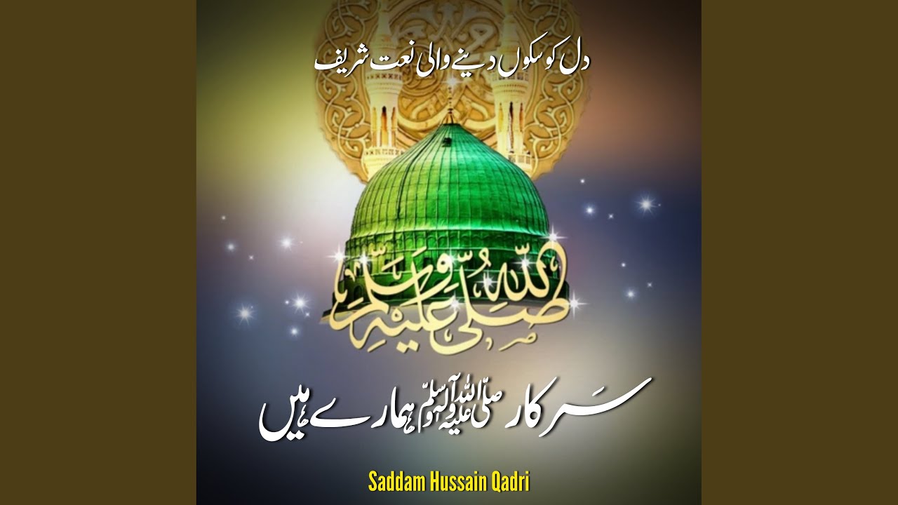 Sarkar Humary Hain