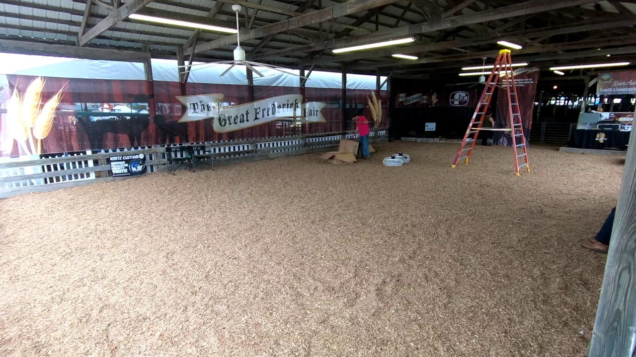 Youth Sheep Breeding Show