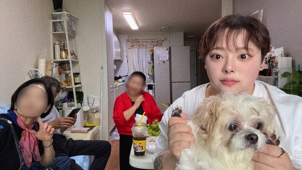 헤르페스 1형 났지만 추석에 먹기만한 VLOG