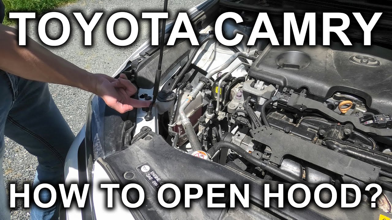 Toyota Camry (2018-2025): как открыть капот?