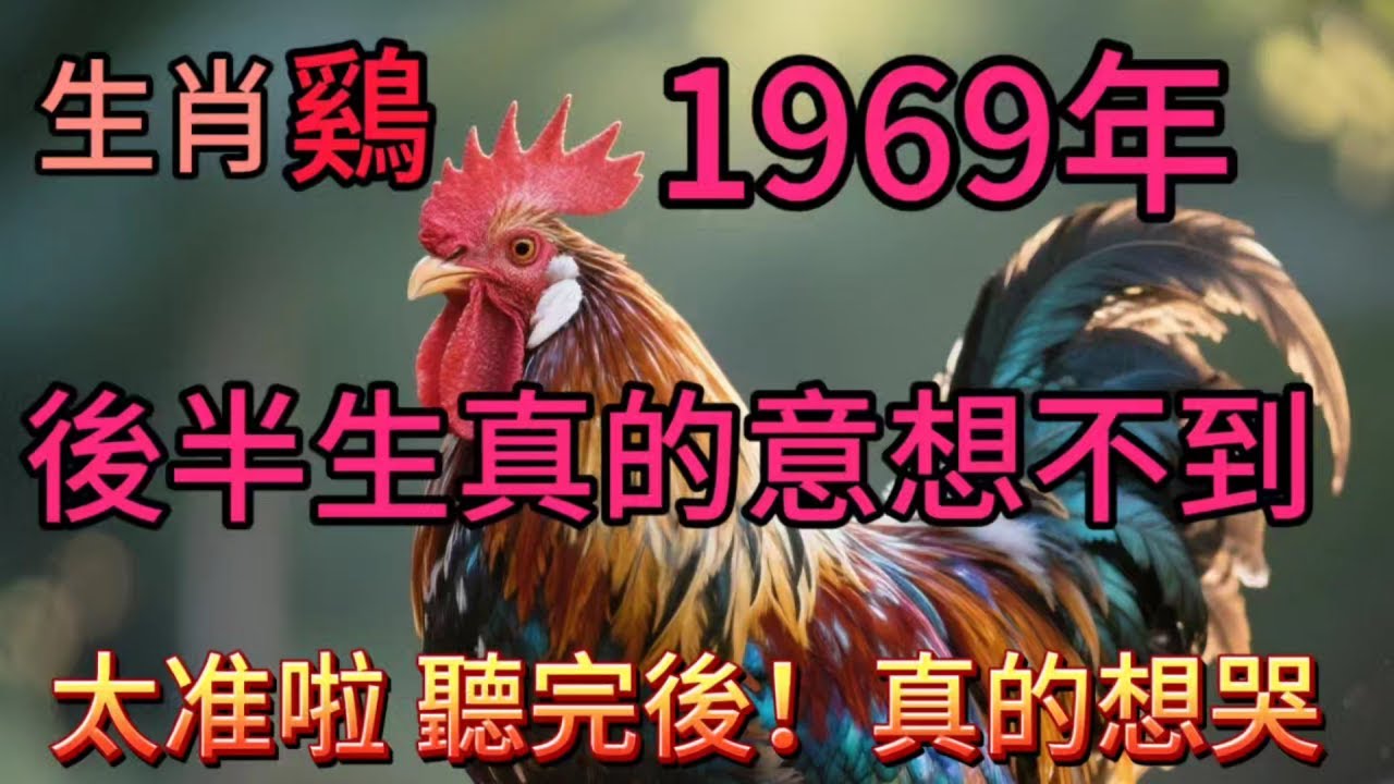 1969年的屬雞人注意！都說你們是“土雞命”，一生波折卻越挫越勇？今天揭秘你們的終極命運密碼！土雞命=窮命？大錯特錯！ 1969年屬雞人必看：你的黃金30年，全藏在這三個轉捩點！#財富 #財富流