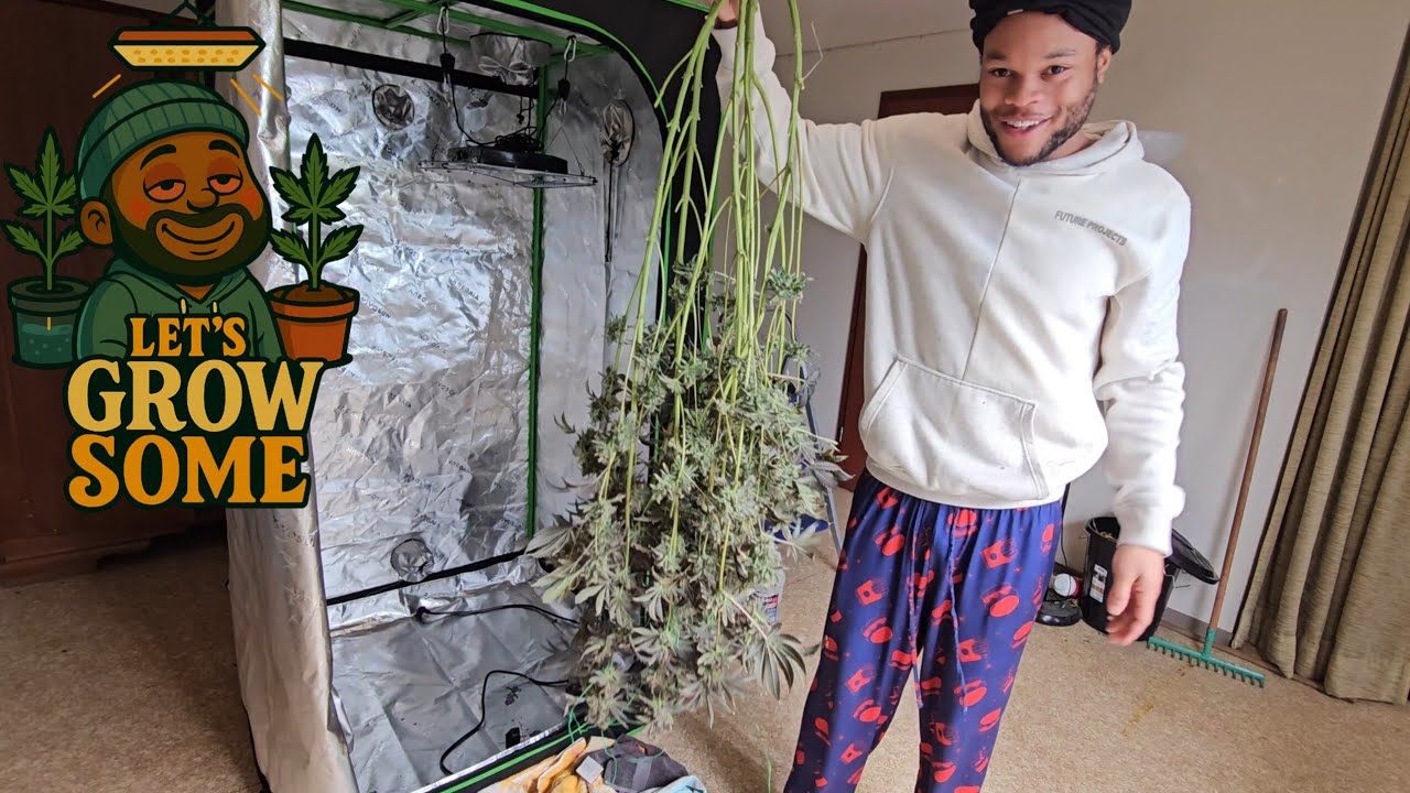 Let's Grow Some Ep.13 | Chop Day For Zkittlez