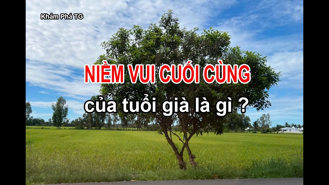NIỀM VUI CUỐI CÙNG CỦA TUỔI GIÀ LÀ GÌ ?