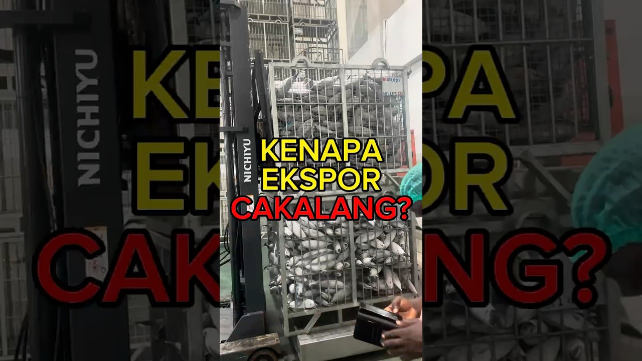 Kenapa Ekspor Cakalang