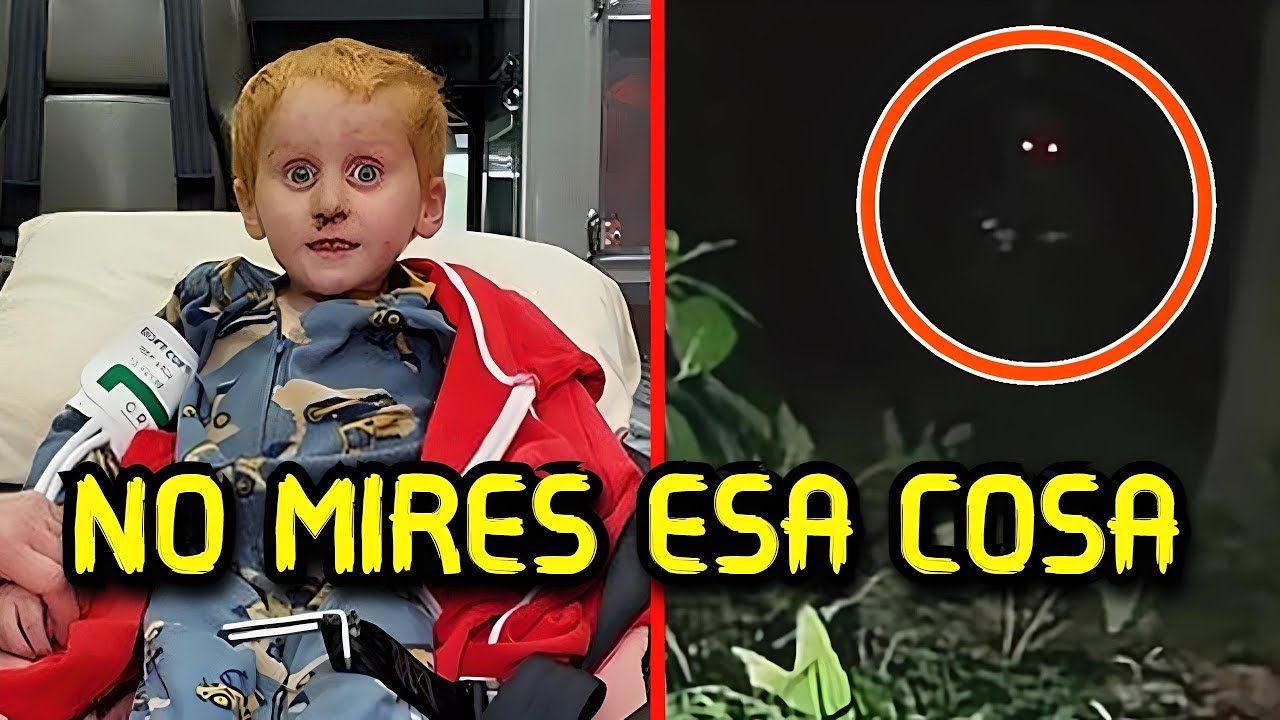 8 Casos Aterradores en el BOSQUE 💀