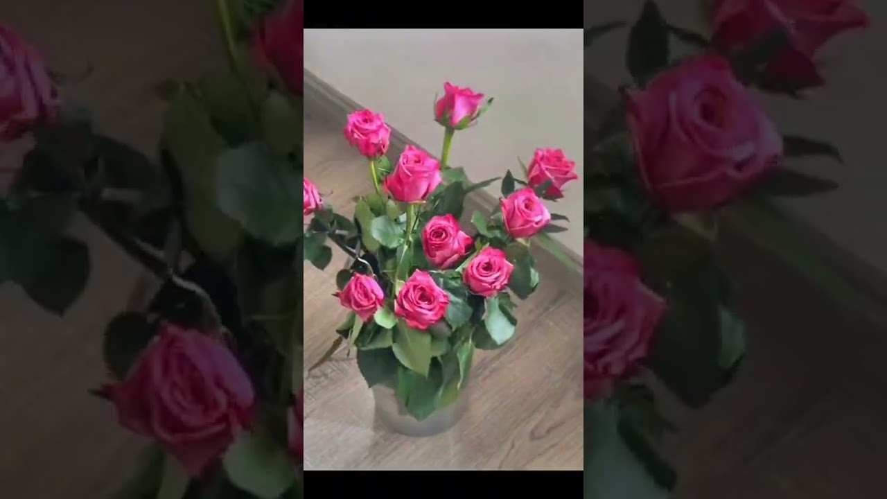 Une explosion de couleurs et de d&eacute;licatesse  plongez dans le monde enchanteur des fleurs #shorts